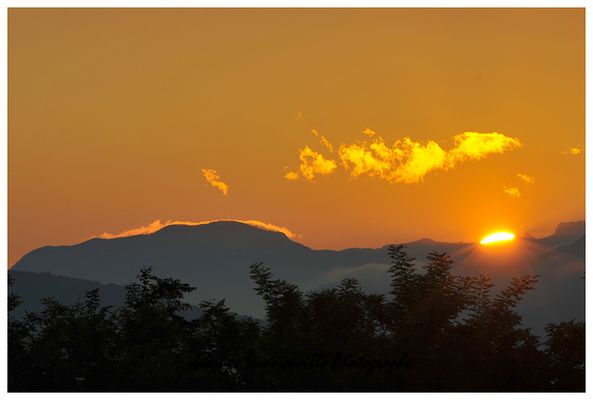 DSC_6968+.jpg