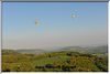 DSC_7028+.jpg