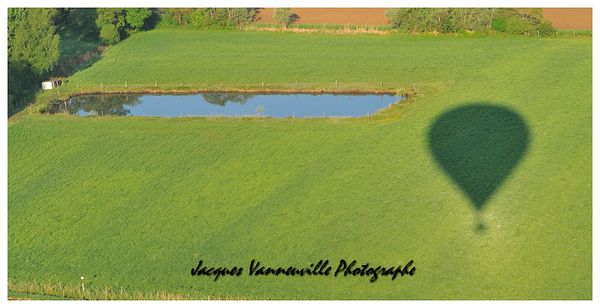 DSC_7104+.jpg