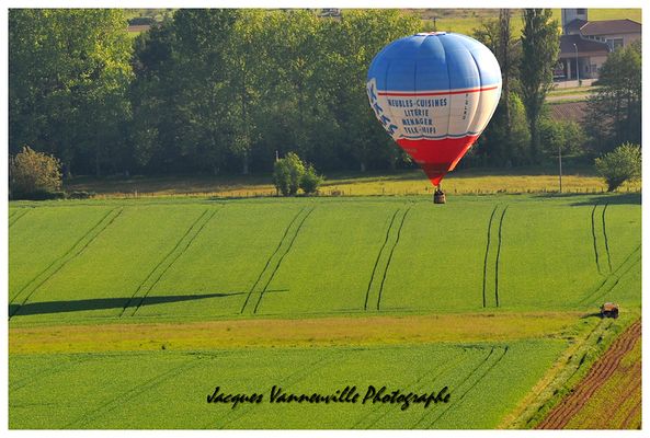 DSC_7253+.jpg