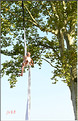 DSC_0810+