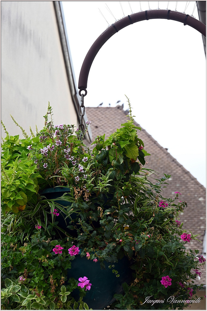Peintres Morestel 2025  p_7308