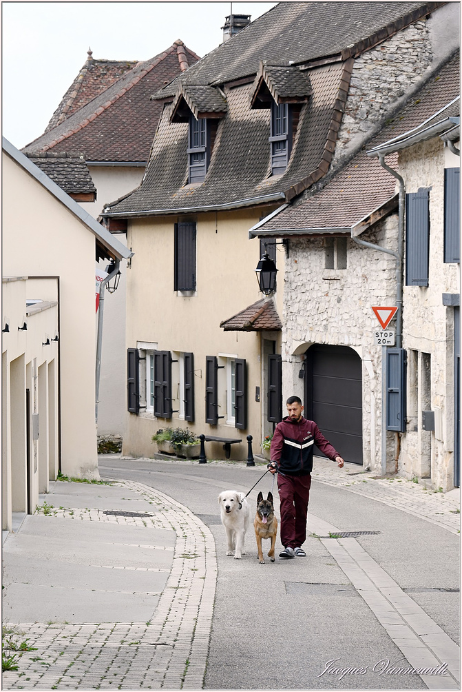 Peintres Morestel 2025  p_7381