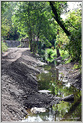 Peintres Morestel 2025  p_7383