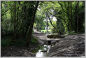 Peintres Morestel 2025  p_7386
