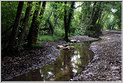 Peintres Morestel 2025  p_7387