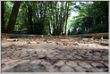 Peintres Morestel 2025  p_7391