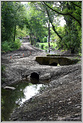 Peintres Morestel 2025  p_7392