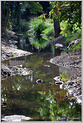Peintres Morestel 2025  p_7393