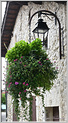 Peintres Morestel 2025  p_7447