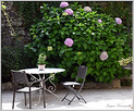 Peintres Morestel 2025  p_7627