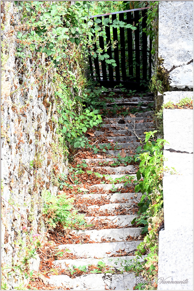 Peintres Morestel 2025  p_7652