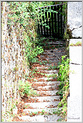 Peintres Morestel 2025  p_7652